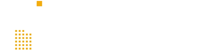 dana construzioni logo